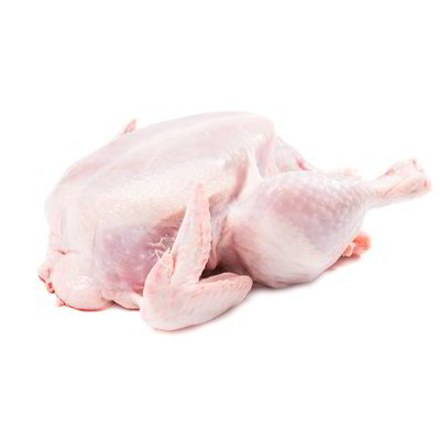 Tacchino maschio eviscerato senza frattaglie